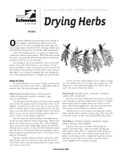 Drying Herbs - Alabama Cooperative Extension System