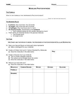 Gumdrop Photosynthesis - Liberty Union High School District