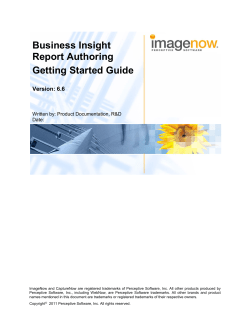 Business Insight Report Authoring Getting Started Guide