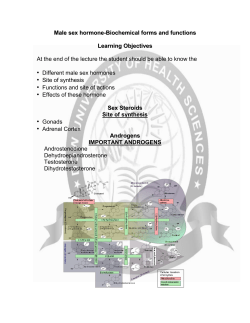 Male sex hormone-Biochemical forms and functions