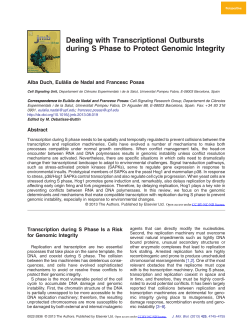 Dealing with Transcriptional Outbursts during S Phase to Protect