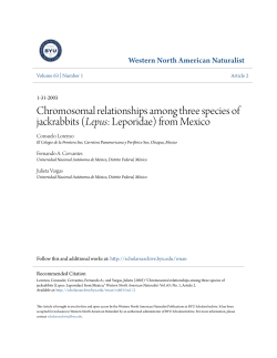 Chromosomal relationships among three species of jackrabbits