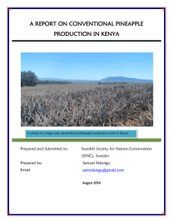 a report on conventional pineapple production in kenya