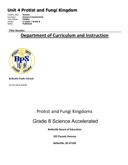 Unit 4 Protist and Fungi Kingdom