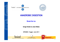 anaerobic digestion