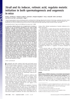 Stra8 and its inducer, retinoic acid, regulate - David Page Lab