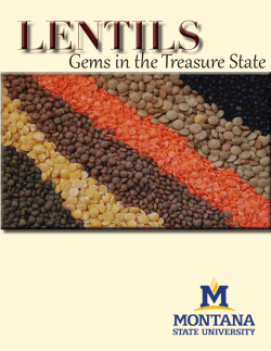 Lentils: Gems in the Treasure State