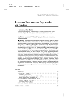TONOPLAST TRANSPORTERS: Organization and Function