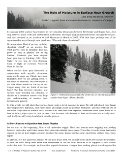 The Role of Moisture in Surface Hoar Growth