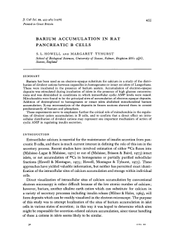 BARIUM ACCUMULATION IN RAT PANCREATIC B CELLS
