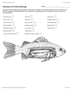 Fish Internal Anatomy Coloring