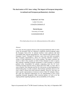Paper ECPR 2007 De Vries and Rosema