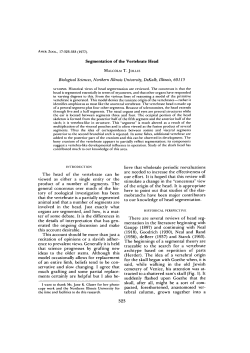 Segmentation of the Vertebrate Head The head