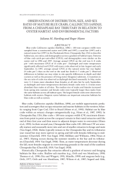 OBSERvATIONS OF dISTRIBUTION, SIzE, ANd SEx RATIO OF