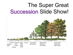 The Super Great Succesion Slide Show!