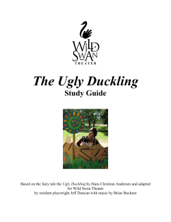 The Ugly Duckling - Wild Swan Theater