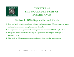DNA Replication and Repair