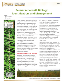 Palmer Amaranth Biology, Identification, and