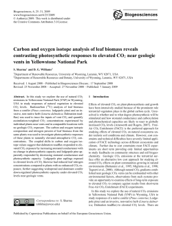 Carbon and oxygen isotope analysis of leaf