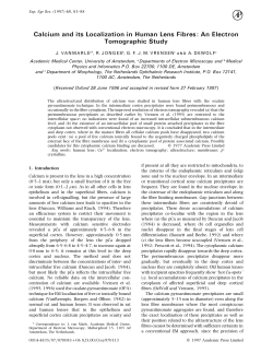 Calcium and its Localization in Human Lens Fibres: An Electron