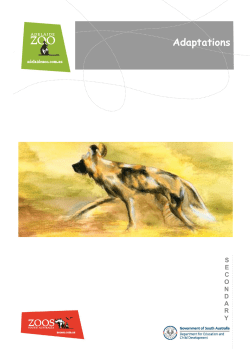Desert Animals Trail &ndash;secondary