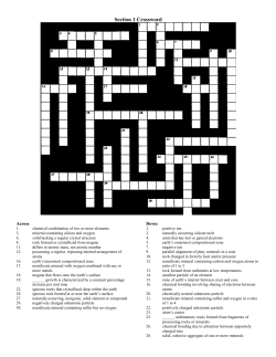 Section 1 Crossword