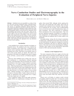 Nerve Conduction Studies and Electromyography in the Evaluation