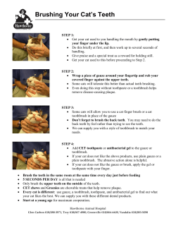 Brushing Your Cat`s Teeth - Hawthorne Animal Hospital