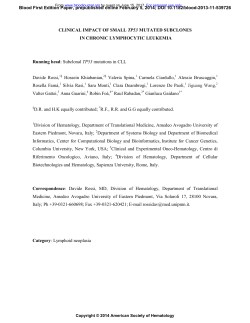 CLINICAL IMPACT OF SMALL TP53 MUTATED