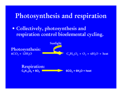 Photosynthesis and respiration