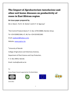The Impact of Agrobacterium tumefaciens and