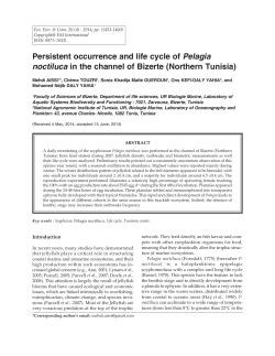 Persistent occurrence and life cycle of Pelagia noctiluca in the