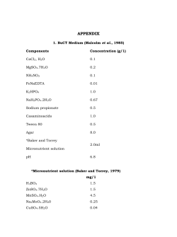 studies on the identification, isolation