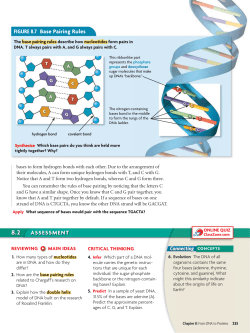 Base Pairing Rules