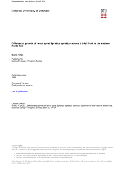 Differential growth of larval sprat Sprattus sprattus across a tidal front