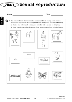 Sexual reproduction - School