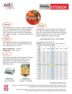 Peach Buying Guide