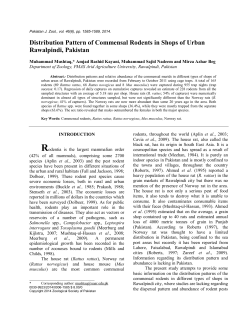 Distribution Pattern of Commensal Rodents in Shops of Urban