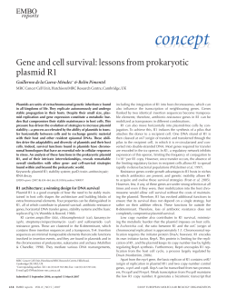 Gene and cell survival: lessons from prokaryotic