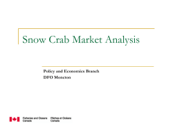 Snow Crab Market Analysis