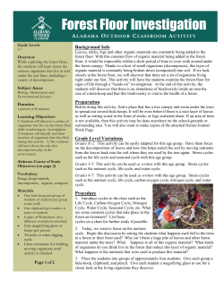 Forest Floor Investigation - Alabama Wildlife Federation
