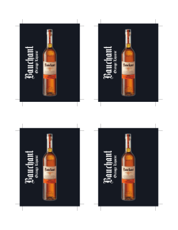 June 13 4UP.indd - Palm Bay International