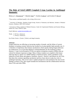 The Role of Syk/CARD9 Coupled C-type Lectins in Antifungal