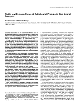 Stable and Dynamic Forms of Cytoskeletal Proteins in Slow Axonal