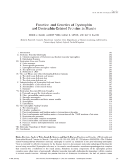 Function and Genetics of Dystrophin and
