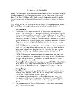 A Primer for Your Electric Bill Utility bills, phone bills, repair bills