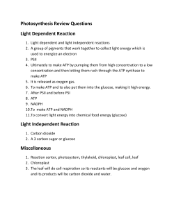 Photosynthesis Review Questions Light Dependent Reaction Light