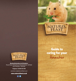 Hamster - Nature`s Feast