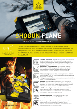shogun flame product