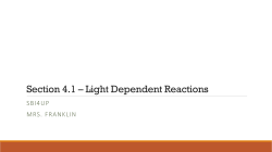 Section 4.1 &ndash; Light Dependent Reactions
